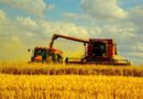 🌾 Вимоги безпеки під час збирання врожаю зернових культур