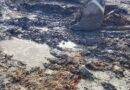 🟤 Роботи з відновлення проїжджаємості