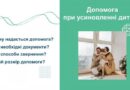 Допомога при усиновленні дитини