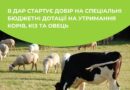 🐄🐐🐑 Відсьогодні у ДАР стартує добір на спеціальні бюджетні дотації на утримання корів, кіз та овець 🐄🐐🐑 Відсьогодні у ДАР стартує добір на спеціальні бюджетні дотації на утримання корів, кіз та овець