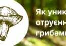 Як уникнути отруєння грибами