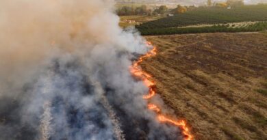 Рекомендації щодо забезпечення протипожежного стану сільськогосподарських угідь під час достигання та збирання врожаю в умовах воєнного стану