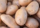 Бура гниль картоплі Бура гниль картоплі