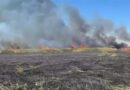 Оперативний штаб Ізмаїльської РДА інформує
